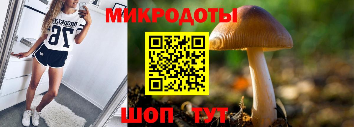 Галлюциногенные грибы GOLDEN TEACHER  Вход с VPN  купить закладку  Одинцово 